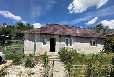 Casă cu 4 camere cu Teren 2200 Mp în Dumitrița - 3