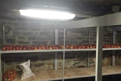 Casă cu 3 camere cu Teren 1930 Mp în Voila - 3