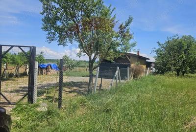 Teren de 4135 mp, în Sarasău - 2