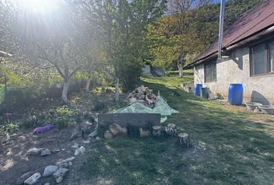 Casă cu 3 camere în Moldovenești - 2