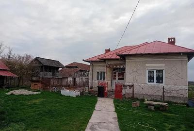 Casă cu 3 camere cu Teren 5000 Mp în Galicea - 1