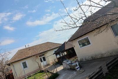 Casă cu Teren 462 Mp în Cetate - 7