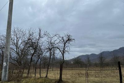 Teren în Măgura - 3