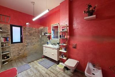 Casă individuală cu 7 camere cu Teren 3200 Mp în Lipia - 10