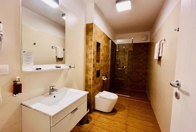 Apartament cu 2 camere decomandat, mobilat în Borhanci - 8