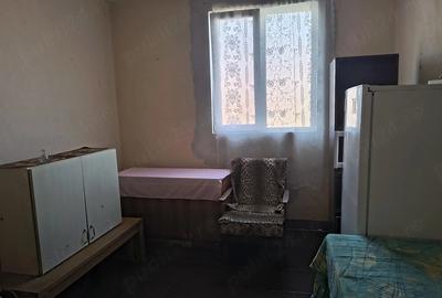 Casă cu 3 camere cu Teren 2900 Mp în Gavojdia - 5