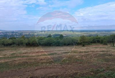 Teren Construcții intravilan de 5700 mp, în Sud-Vest - 5