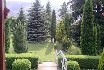 Teren de 1747 mp, în Piatra Arsă - 7