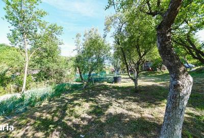 Casă cu 3 camere cu Teren 3245 Mp în Vultureni - 11