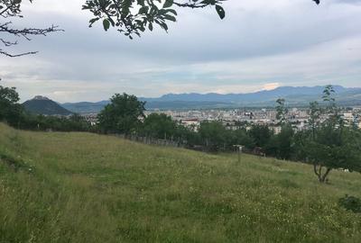 Teren de 750 mp, în Bejan - 5