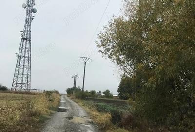 Teren de 1600 mp, în Cojești - 1
