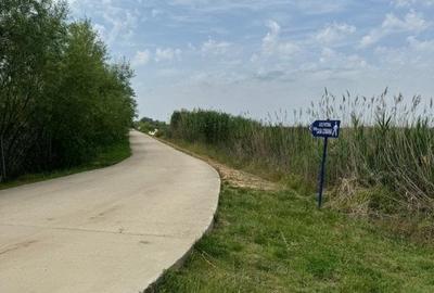 Teren Construcții intravilan de 10000 mp, în Comana - 2