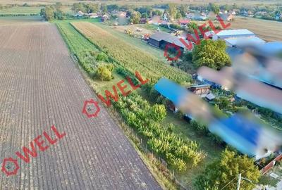 Teren agricol intravilan de 4590 mp, în Lunga - 4
