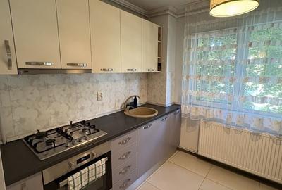 Apartament cu 2 camere în Banat - 11