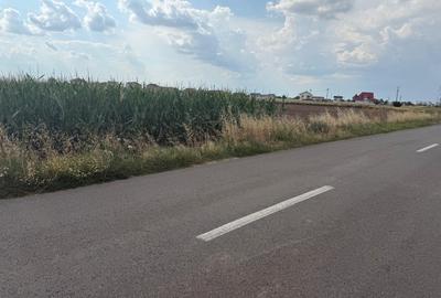 Teren intravilan de 7625 mp, în Ghercești