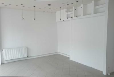 Spațiu comercial, de 65 mp, în Nicolae Titulescu - 5