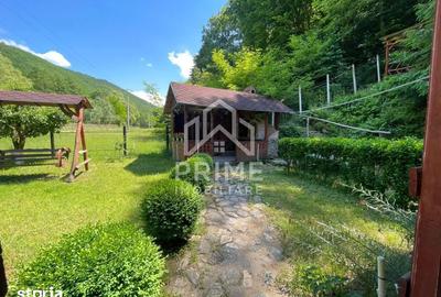 Casă cu 5 camere cu Teren 2000 Mp în Pianu - 11