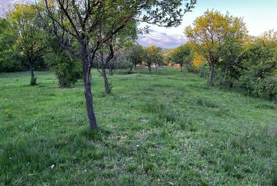 Teren de 5600 mp, în Pianu - 2