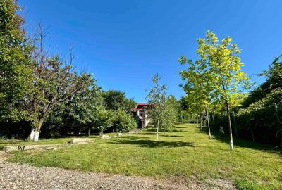 Casă individuală cu 5 camere cu Teren 1500 Mp în Bucium - 2