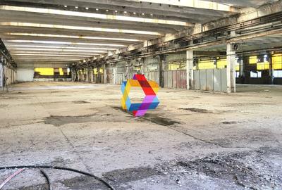 Spațiu industrial, de 8,062 mp, în Nord - 2