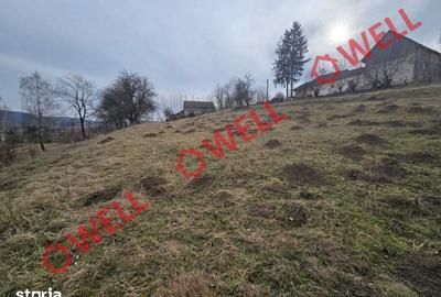 Teren de 5800 mp, în Barcani - 2