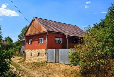 Casă cu 3 camere în Dretea