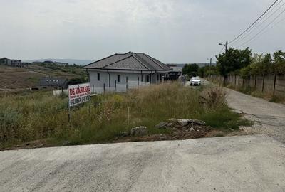 Spațiu comercial, în Păcurari