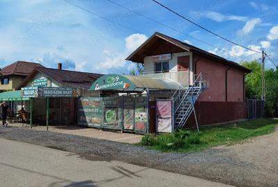 Casă cu Teren 1467 Mp în Plumbuita
