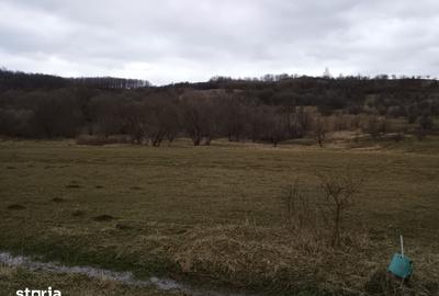 Teren de 2500 mp, în Central - 8