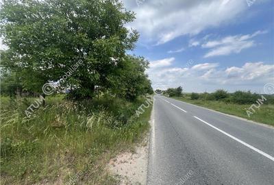 Teren Construcții extravilan de 20200 mp, în Daia - 1