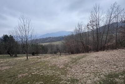 Teren agricol intravilan de 6000 mp, în Bistrița - 2