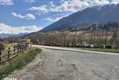 Teren de 2500 mp, în Plaiul Foii - 5