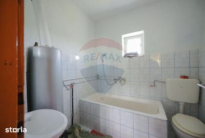 Casă cu 5 camere cu Teren 55706 Mp în Șinteu - 7
