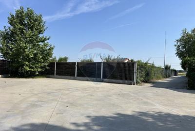 Proprietate specială, de 850 mp, în Dumbrăveni - 19