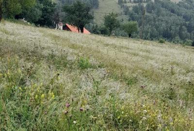 Teren de 8700 mp, în Bran - 7