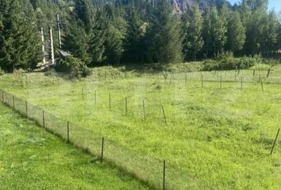 Casă cu 5 camere cu Teren 1755 Mp în Central - 2
