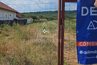Teren de 3863 mp, în Turcinești