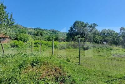 Teren de 1000 mp, în Ucea - 3