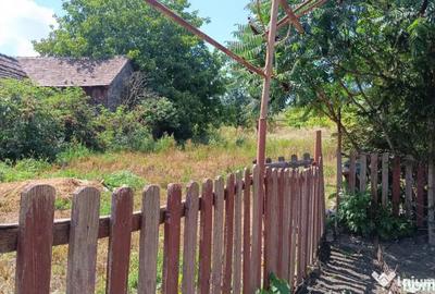 Casă cu 4 camere cu Teren 2000 Mp în Alțina