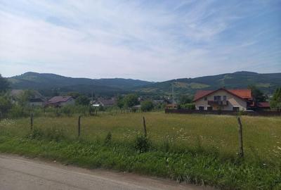 Teren de 1753 mp, în Șaru Dornei