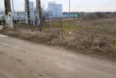 Teren de 5556 mp, în Dragomirești