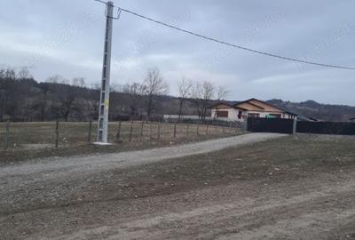 Teren de 10000 mp, în Berevoești