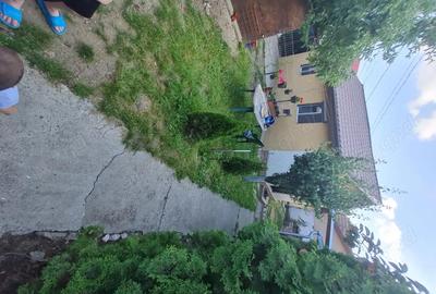 Casă cu 2 camere în Pantelimon - 9
