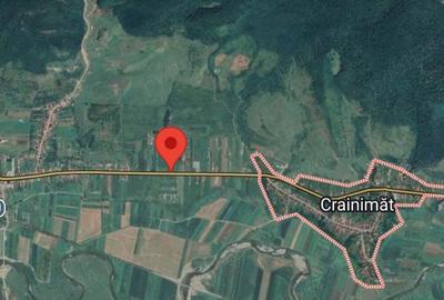Teren de 6200 mp, în Crainimăt - 1