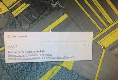 Teren de 10000 mp, în Priseaca - 2
