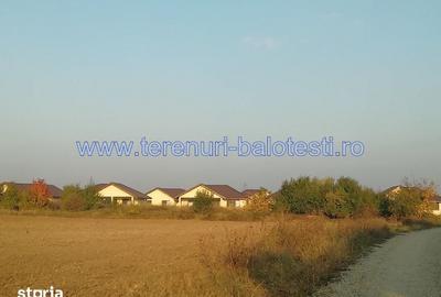 Teren de 530 mp, în Balotești