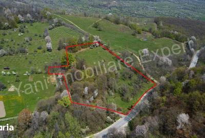 Teren de 15856 mp, în Valea Iașului - 2