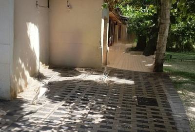 Casă cu 3 camere cu Teren 241 Mp în Bucureștii Noi - 5