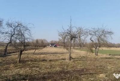 Casă cu 4 camere cu Teren 5400 Mp în Frătăuții Vechi
