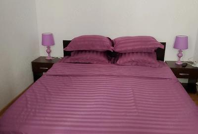 Apartament cu 2 camere semidecomandat în Tineretului - 6